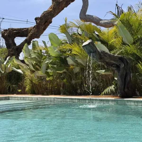 AnyConv.com__IMG_2357