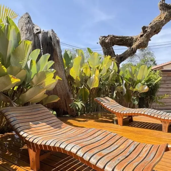 AnyConv.com__IMG_2361