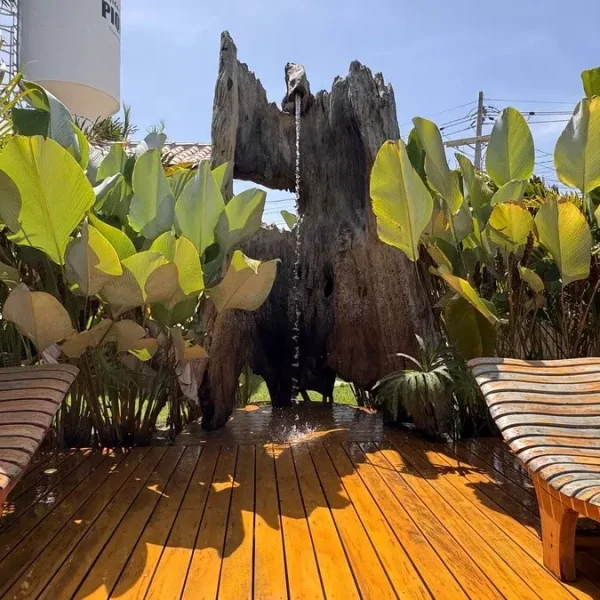 AnyConv.com__IMG_2366